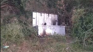 लोहे का बक्सा photo