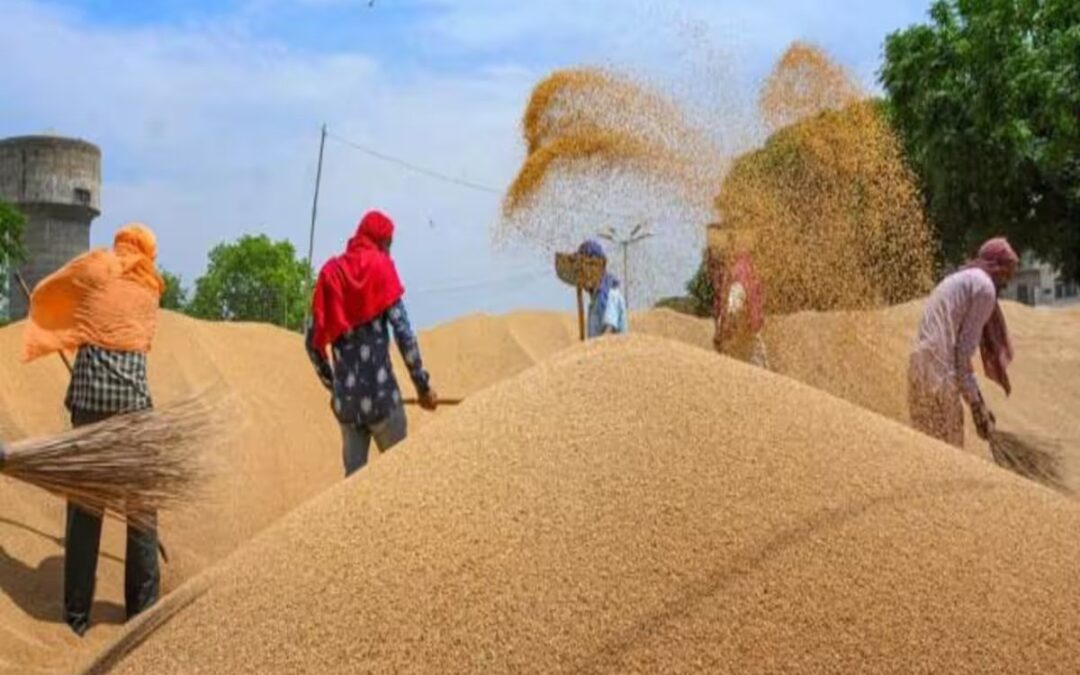 UP Farmers : यूपी में किसानों के लिए आई खुशखबरी, सरकार ने बढ़ाया प्रति क्विंटल 150 रुपए, 15 दिन पहले ही खरीद शुरु होगी