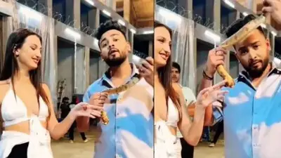 Elvish Case : रेव पार्टियों में होता था सांप के जहर का इस्तेमाल, एल्विश यादव की बढ़ सकती हैं मुश्किलें