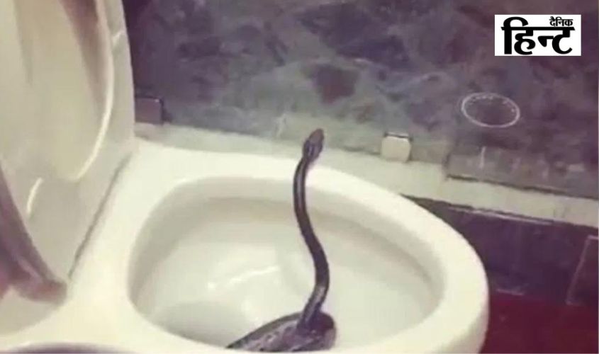 Indore News : टॉयलेट सीट से निकला सांप, परिवार में दहशत का माहौल