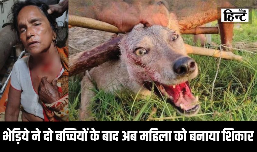 Bahraich Wolf Attack : भेड़िये ने दो बच्चियों के बाद अब महिला को बनाया अपना शिकार, लगातार बढ़ते हमलों से बढ़ी चिंता