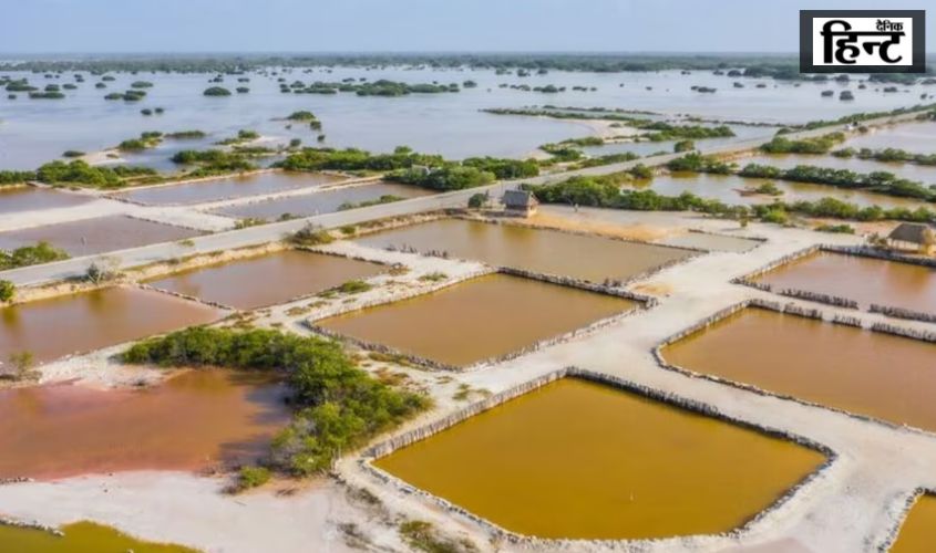 UP News : जयंत चौधरी ने सीएम योगी को लिखा पत्र, बाढ़ से प्रभावित किसानों के लिए मुआवजे की मांग की