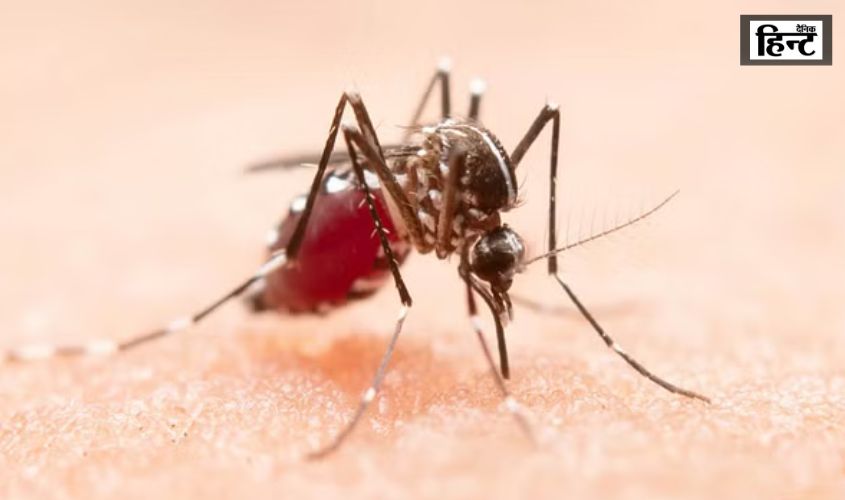 UP News : लखनऊ में डेंगू का बढ़ा संकट, स्वास्थ्य विभाग ने जारी की रिपोर्ट