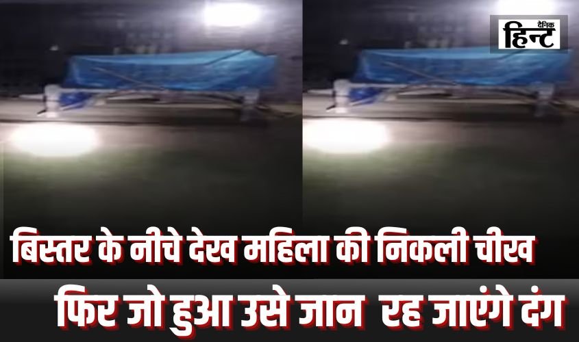Bahraich News : बिस्तर के नीचे देख महिला की निकली चीख, फिर जो हुआ उसे जान रह जाएंगे दंग