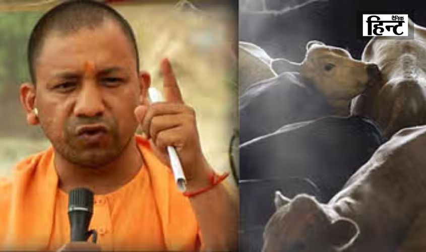 UP News : योगी सरकार की सख्त कार्रवाई, तीन अवैध बूचड़खानों की एनओसी होगी रद्द