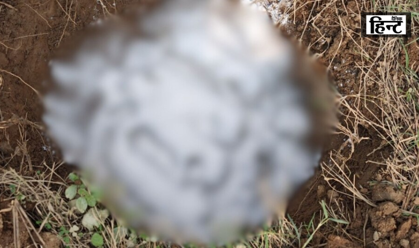 Meerut : दो महिलाओं ने मिलकर कुत्ते के पांच बच्चों को पेट्रोल से जलाया