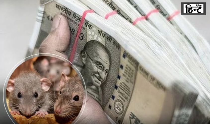 UP News : बरेली में चूहों ने कुतरे रिश्वत के नोट, FIR दर्ज होने के बाद पुलिस ने बताई असल वजह