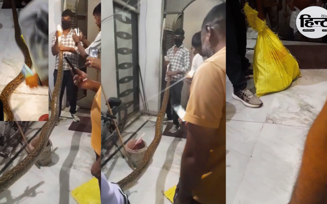 Bulandshahr News: घर में घुसा 12 फीट लंबा अजगर, मचा हड़कंप – वन विभाग ने किया सुरक्षित रेस्क्यू
