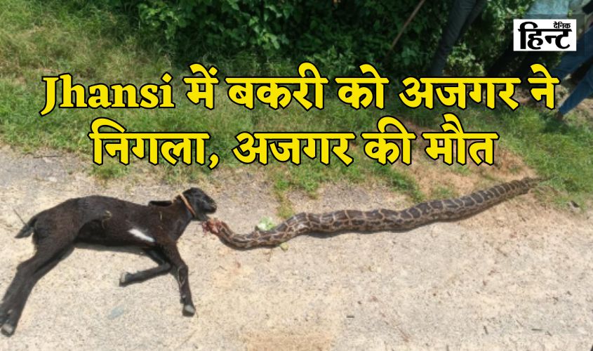 Jhansi News